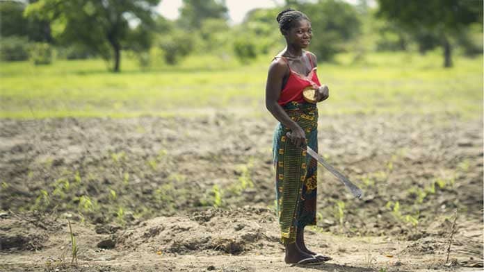 kalahari melon woman cooperative