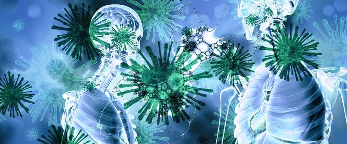 Essential Oils for Flu Viruses