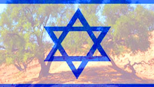 The Israeli Argan Oil Project in the Negev Desert picture of israeli flag